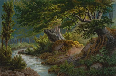 Wald bei Les Plans